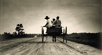 Home-By-Dark-Eudora-Welty-388.jpg